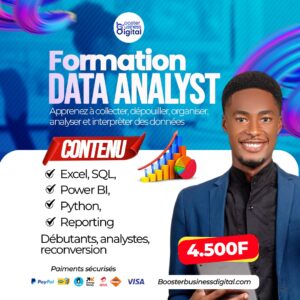 FORMATION DATA ANALYST